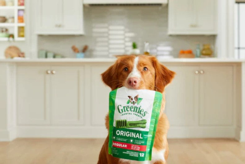 Dog Dental Chews