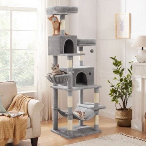 Cat Towers & Condos