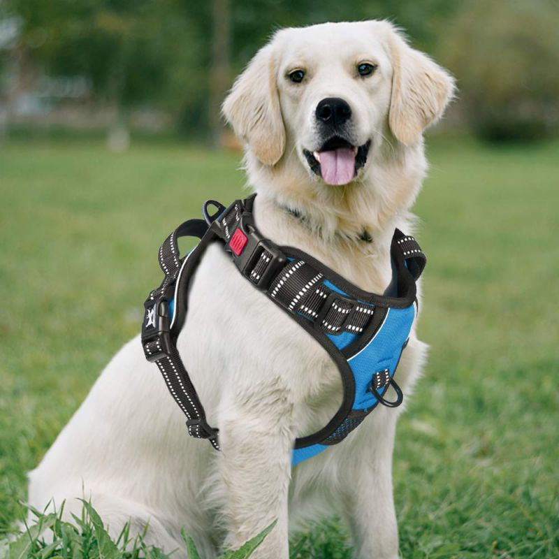 Anti‑pull Harnesses