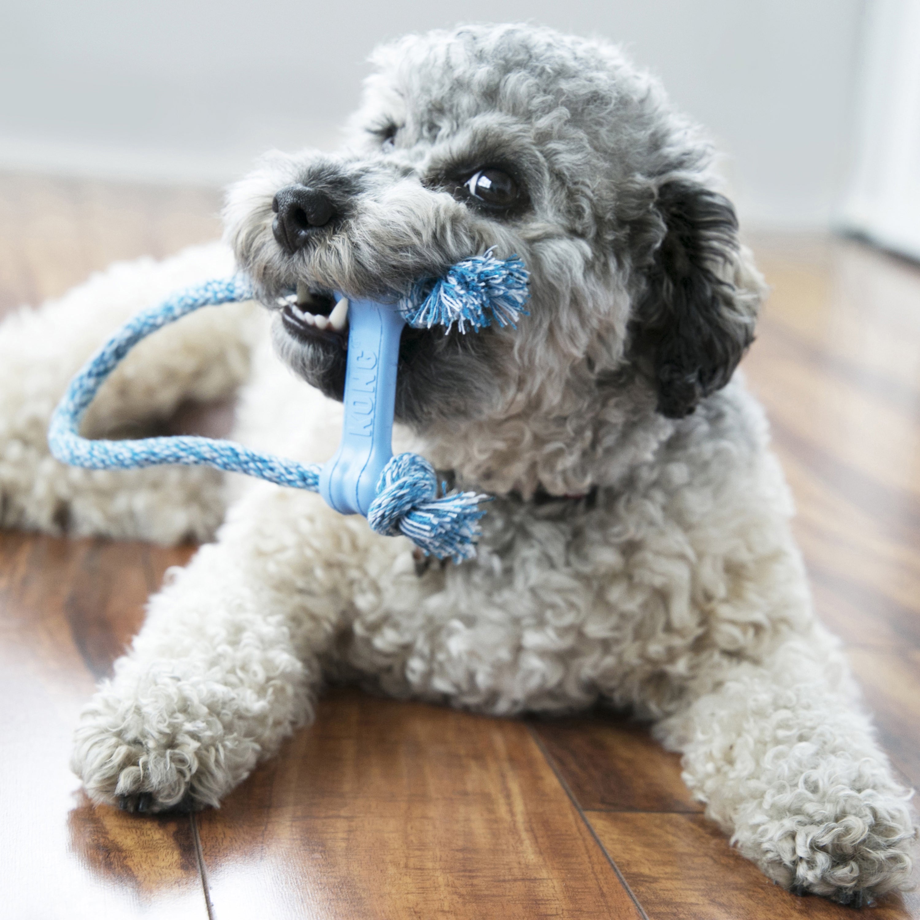 Chew Toys for Anxiety