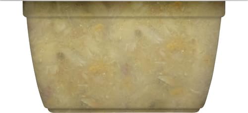 Nutrish Rachael Ray Grain Free Wet Cat Food Ocean Fish & Chicken Catch-iatore, 2.8 oz. Cup, 24 Count