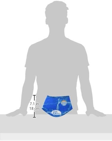 ALL FOR PAWS Dog Cooling Bandana, Cooling Bandanas for Large Dogs, Ice Dog Bandanas, Cooling Neck Wraps for Dogs, Chill Out Blue Neck Cooler (L)