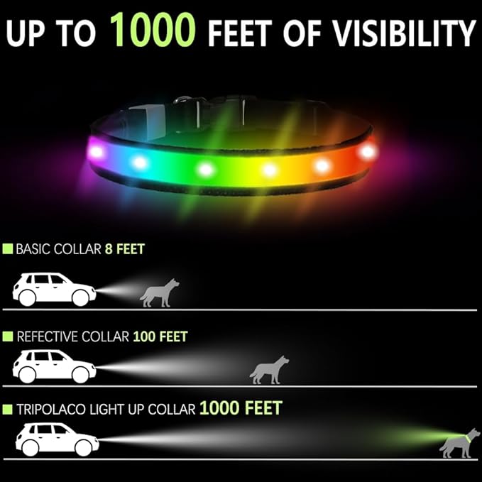 Light Up Dog Collar - Multicolor LED Dog Collar with 3 Glow Modes, Rechargeable Glow in The Dark Dog Collars for Small, Medium & Large Dogs, 1000 Ft Visibility, IPX7 Waterproof (Black, M)