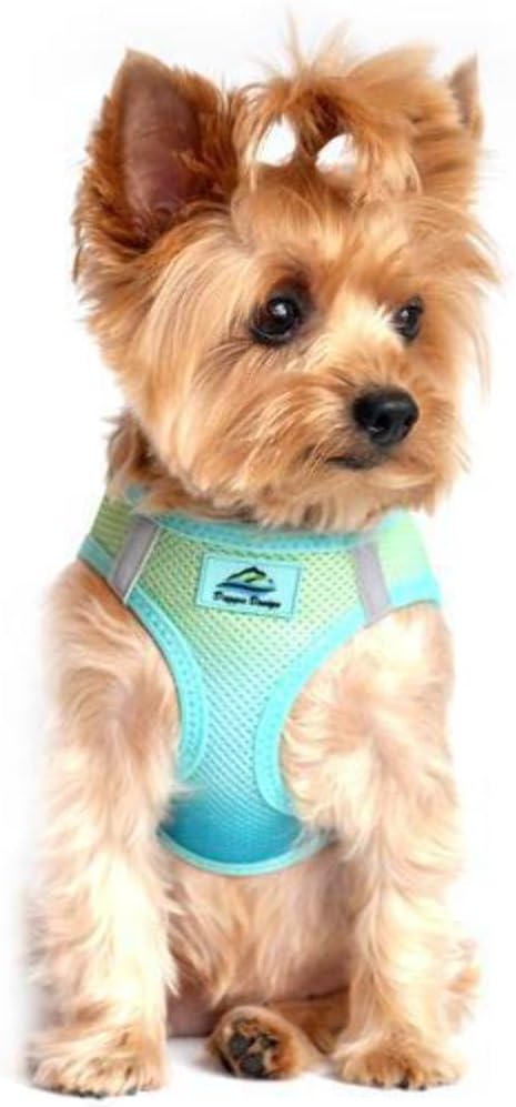 Doggie Design No Choke Dog Harness - Simple Step-in and Go Dog Vest for Small, Medium, and Large Breeds - Breathable Mesh Polyester Pet Harness - Aruba Blue - L