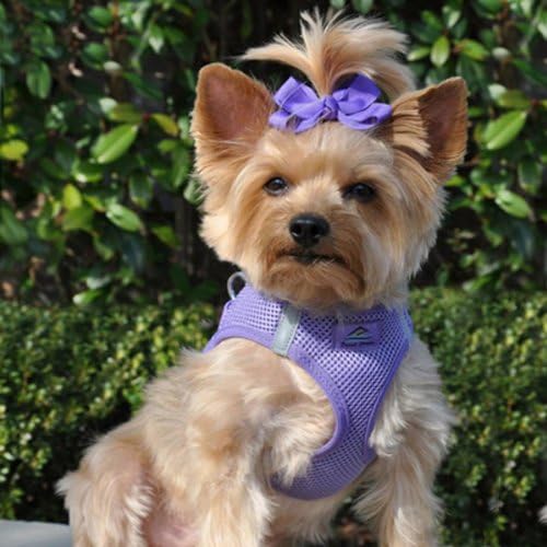 Doggie Design Dog Harness - No Choke Dog Harness, Dog Vest, Mesh Polyester, Pet Harness, Simple Step in and Go Design, Harness for Dog - Paisley Purple - XL