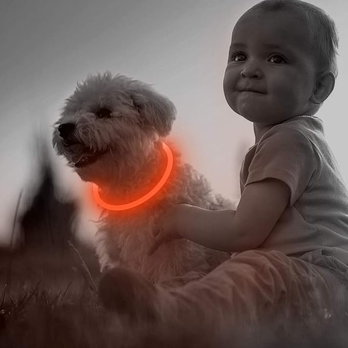 BSEEN LED Dog Collar, USB Rechargeable Glowing Pet Collar, TPU Cuttable Dog Safety Lights for Small Medium Large Dogs (Orange),70cm