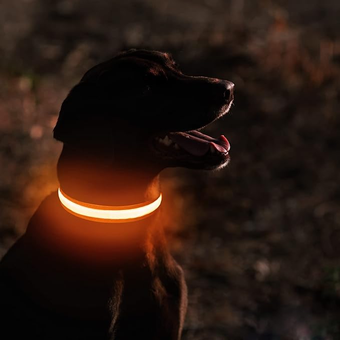 MASBRILL Light Up Dog Collar - LED, Rechargeable, Waterproof Glow Collar for Night Walking with Small, Medium, Large Dogs