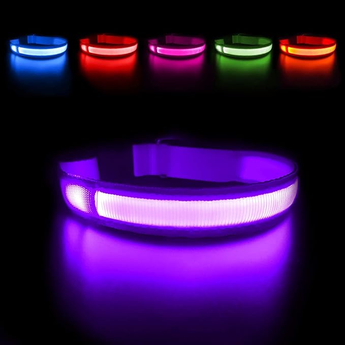 MASBRILL Light Up Dog Collar - LED Dog Collar Rechargeable Waterproof Night Walking Glow Collar for Dogs (M, Purple)
