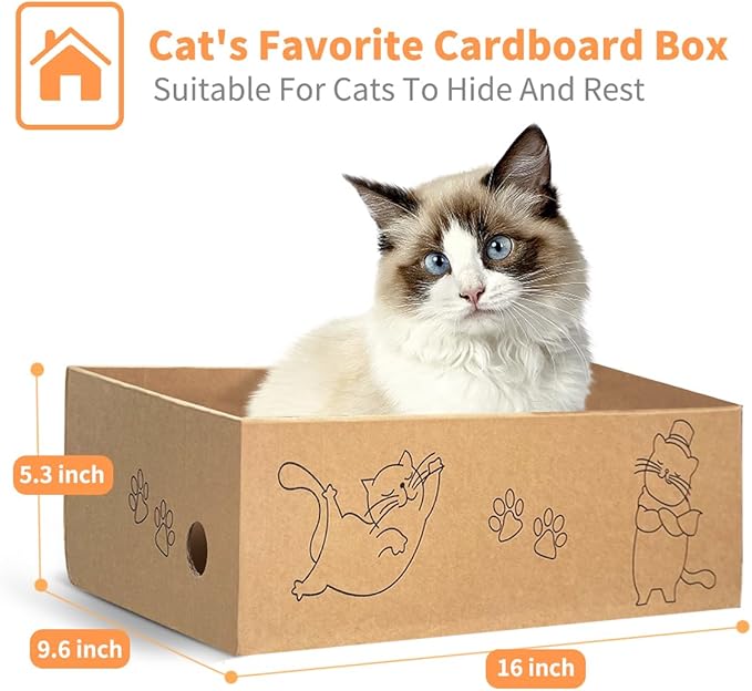 AGYM Cat Scratcher, 5 Packs in 1 Cardboard Box Cat Scratching Pad for Indoor Cats and Kitten, Cat Scratch Pad to Protect Furniture, Large Size