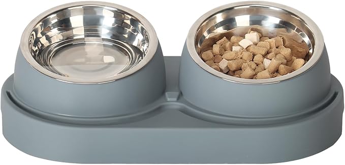 Automatic Cat Feeder and Water Dispenser with Stainless Steel Bowl, Pet Food Bowl for Small Medium Dog Puppy Kitten