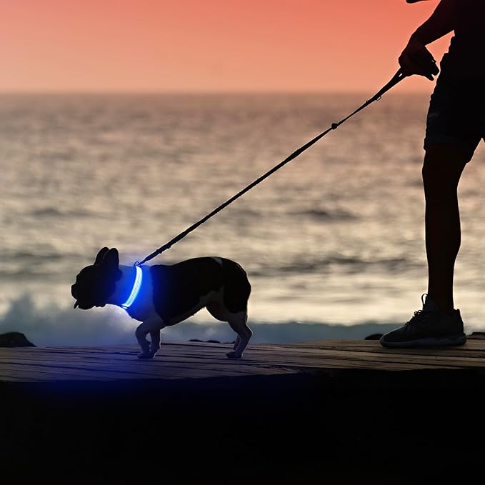 Illumifun Light Up Dog Collar, USB Rechargeable LED Dog Collar, Adjustable Reflective Lighted Pet Collar for Night Walking Camping (BlueⅢ, Large)