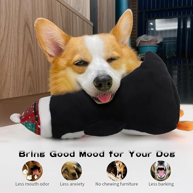 Dog Squeak Toys for Small, Medium & Large Dogs, Tough Chew Toy for Teething & Chewing, Durable Interactive Puppy Gifts, 5-Pack