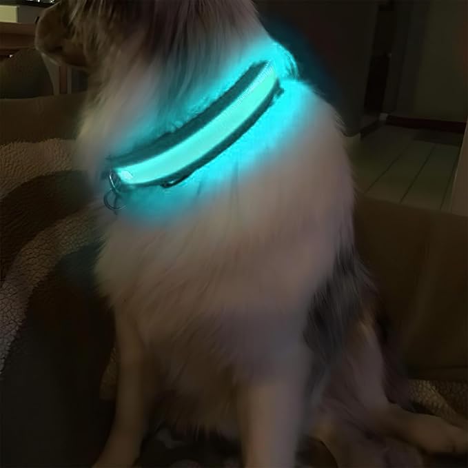 MASBRILL Light Up Dog Collars - LED Dog Collar Rechargeable Lighted Dog Collar Resistant-Water Night Walking Glow Dog Collars