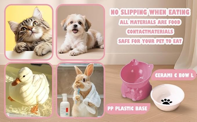 Ceramic Raised Cat Bowl - 5 Inch Tilted Design for Indoor Cats, Anti-Vomiting & Whisker Fatigue Relief, Non-Slip Base, Pink