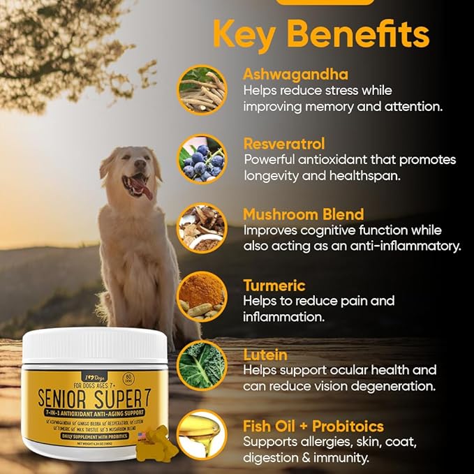 iHeartDogs Senior Super 7 Daily Dog Multivitamin - 7-in-1 Vitamin for Dogs Supports Anti-Aging with Antioxidants, Probiotics, Lion's Mane, Turkey Tail, & Ashwagandha for Longevity & Cognitive Boost