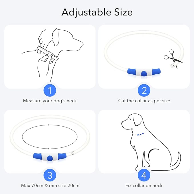 Colaseeme LED Dog Collar, Light Up Dog Collar 1 Count USB Rechargeable TPU Glow Safety Dog Necklace Light, Dog Lights for Small Medium Large Dogs, Please Do Not Use Fast Charging (Blue)