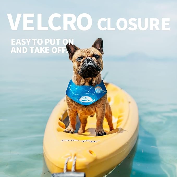 ALL FOR PAWS Dog Cooling Bandana, Cooling Bandanas for Small Dogs, Ice Dog Bandanas, Cooling Neck Wraps for Dogs, Chill Out Blue Neck Cooler (S)