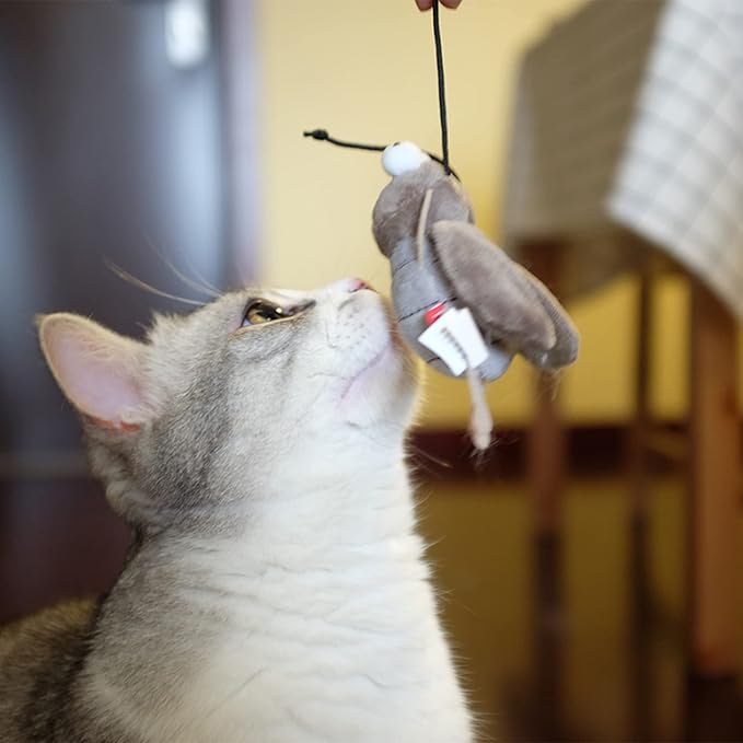 Gigwi Squeaky Cricket Cat Toy,Interactive Cat Toys Electronic Motion Activated Bug Sound,Automatic Cats Play Squeaky Toy for Indoor Fun