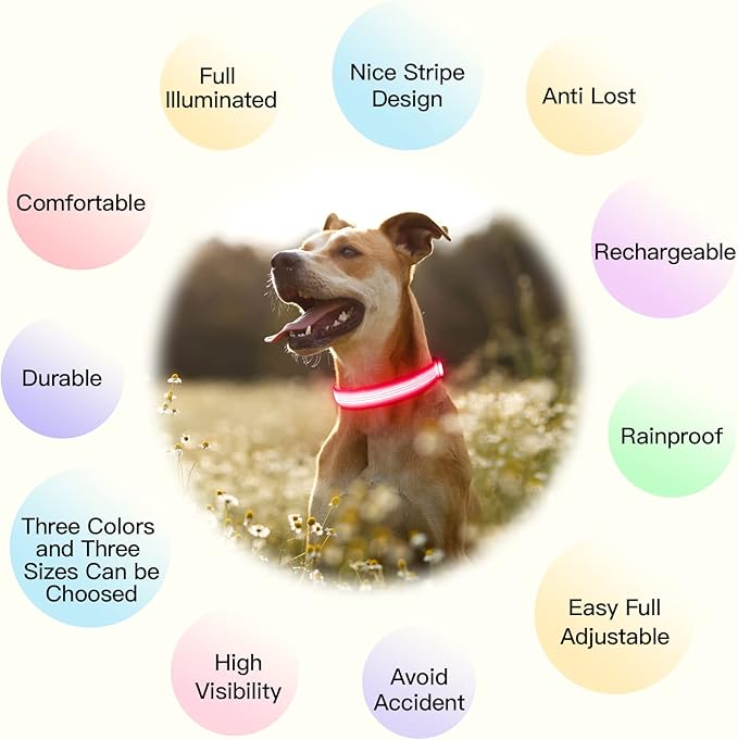 YFbrite Light up Dog Collar, USB Rechargeable LED Puppy Collar Super Bright Adjustable Glowing Dog Lights for Night Walking (Design 2- Pink, Large)