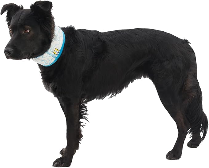 Ruffwear, Swamp Cooler Dog Neck Gaiter, Evaporative Cooling Gear for Hot Weather, Biolumin Blue, Small
