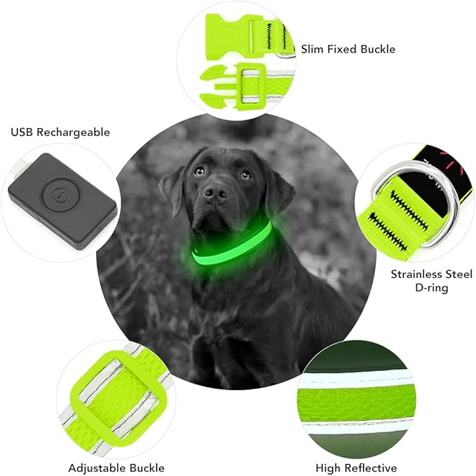 YFbrite Light up Dog Collar, USB Rechargeable LED Puppy Collar Super Bright Adjustable Glowing Dog Lights for Night Walking (Green, Large)