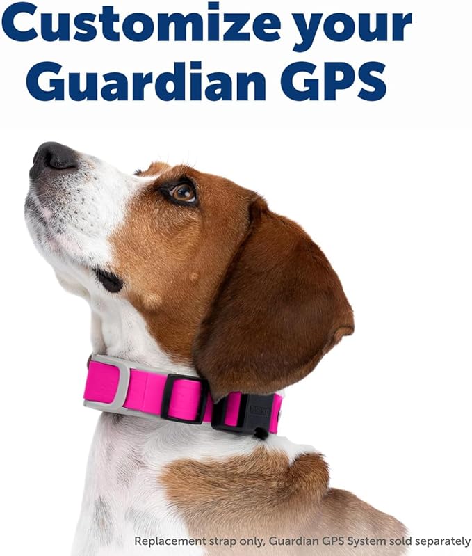 PetSafe Replacement Strap for Guardian GPS + Tracking 1.0 and Guardian GPS Dog Fence Collar, Made with Soft Touch Nylon for Enhanced Comfort,Long Lasting Wear Water Wicking, Waterproof Material, Pink
