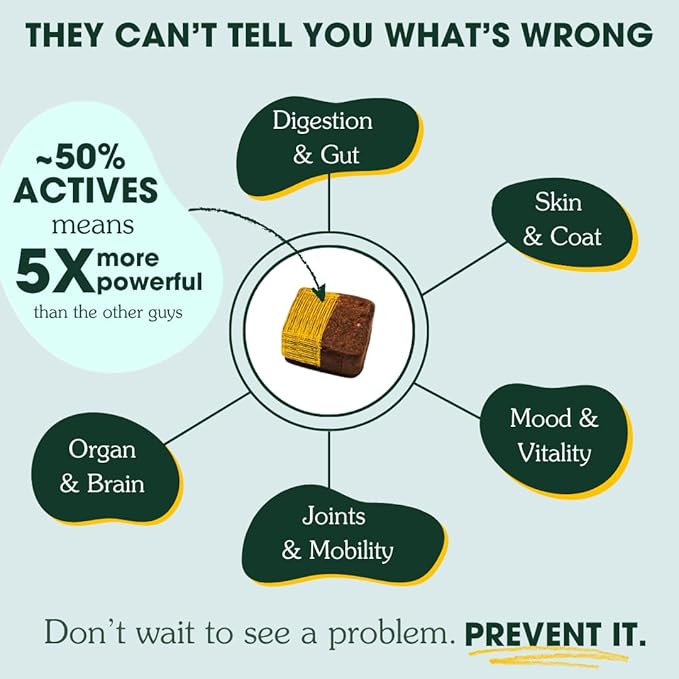 Arterra Longevity Multivitamin for Dogs – 50% Active Ingredients – Vet-Formulated Daily Soft Chews for Gut, Brain, Joint & Immune Health – Human-Grade Supplement | 60 Count