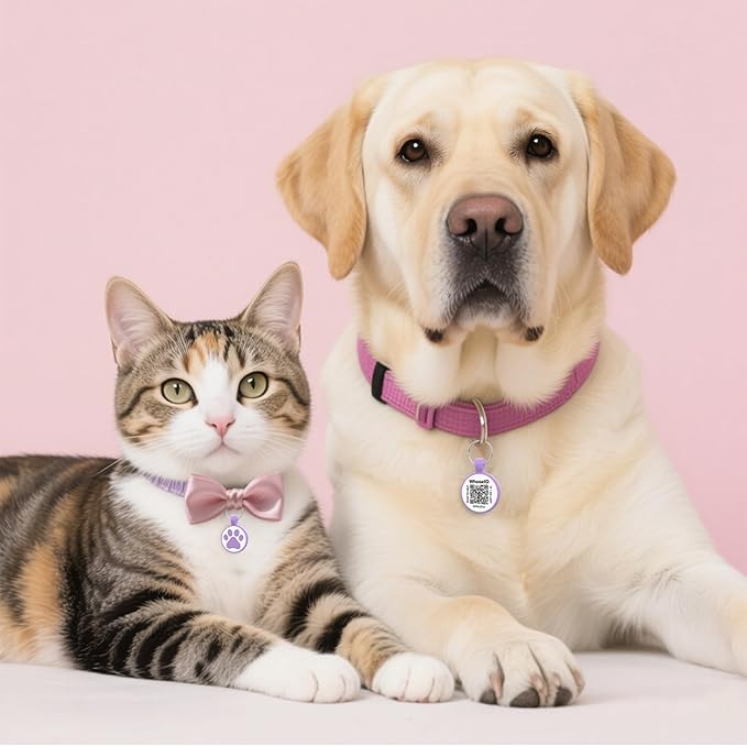 QR Code Cat Tag, Modifiable Online Profile, Multiple Emergency Contact, Silicone Cat Tag, Lightweight, Waterproof, No Jinging, Collar Accessories (Medium to Large Breeds - 1.25", Purple)