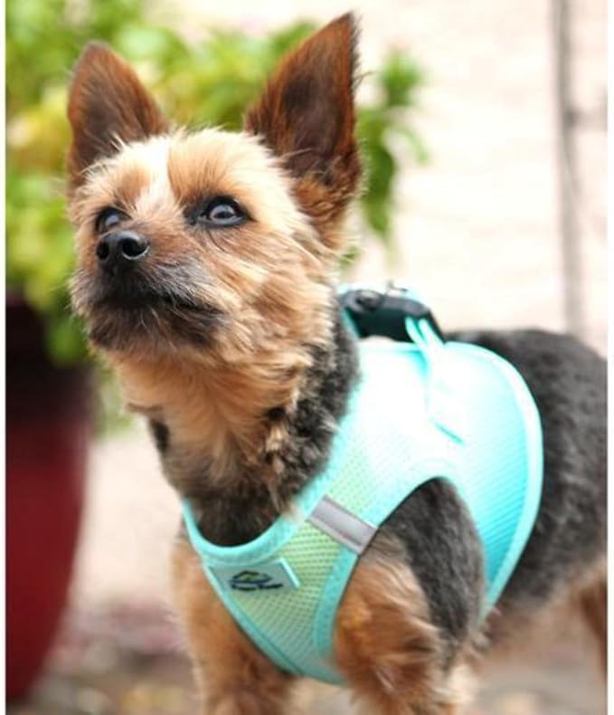 Doggie Design No Choke Dog Harness - Simple Step-in and Go Dog Vest for Small, Medium, and Large Breeds - Breathable Mesh Polyester Pet Harness - Aruba Blue - L