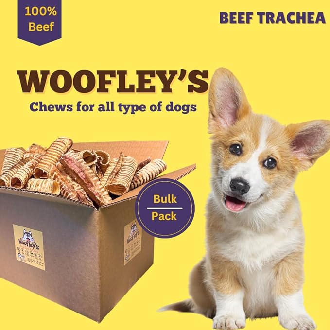 Woofley's Beef Trachea - (6 Inch 100 Pack) - Trachea Treats for Dogs - Natural Source of Glucosamine and Chondrotin for Joint Health - 100% Natural Beef Windpipe for Dogs
