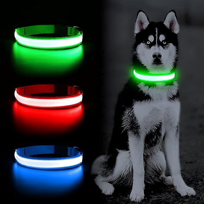 LED Dog Collar - Light Up, Waterproof, Adjustable Flashing, Rechargeable Visibility & Safety for Dogs (Green, Large)