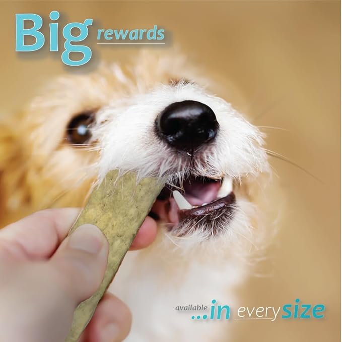 Oral Hygiene Chews for Small Dogs - Cleans Teeth and Freshens Breathe - Coated with Enzymes - Prevents Plaque & Bacteria Build Up - 30 Chews