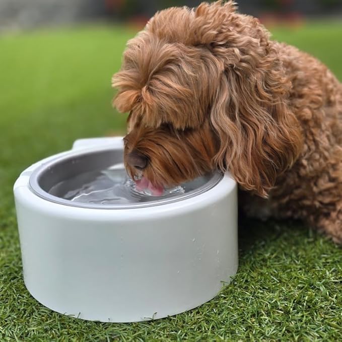 1.2L Cooling Dog Water Bowl – Plug-in Refrigerated Pet Bowl for Large, Medium, Small Dogs – Non-Slip Base, Dishwasher Safe, Keeps Water Cold for Summer Hydration (Yellow)