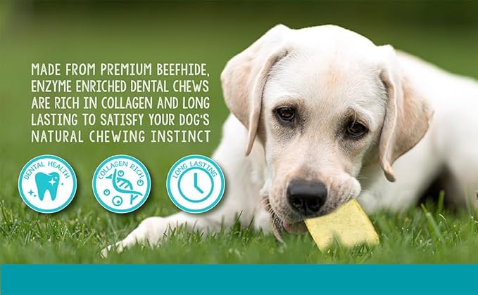| Enzyme Enriched Dental Care Dog Dental Chews | Small | 8.5 oz