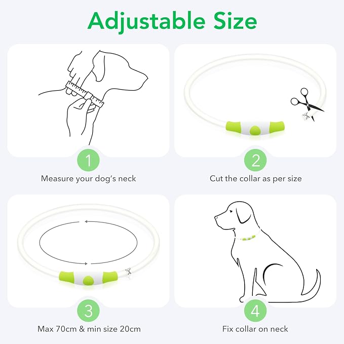 Colaseeme LED Dog Collar Light Up Dog Collars 1 Count USB Rechargeable TPU Glow Safety Basic Dog Collars for Large Medium Small Dogs (Cyan)