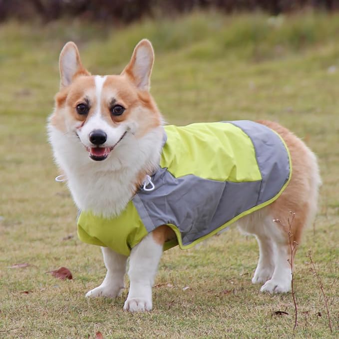 Dogs Packable Lightweight Raincoat: Pet Dog Hood Waterproof Coats Green Size 12
