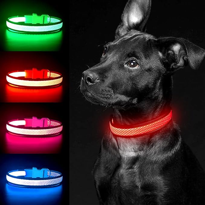 YFbrite Light up Dog Collar, USB Rechargeable LED Puppy Collar Super Bright Adjustable Glowing Dog Lights for Night Walking (Red, Medium)