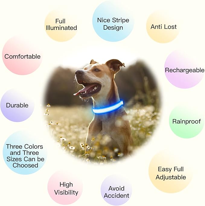 YFbrite Light up Dog Collar, USB Rechargeable LED Puppy Collar Super Bright Adjustable Glowing Dog Lights for Night Walking (Design-2- Blue, Medium)