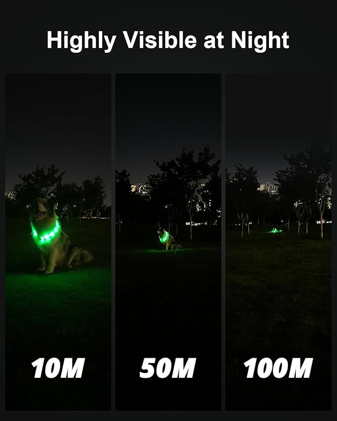 Joytale Light Up Dog Collar, Rainproof and Rechargeable LED, 9 Flashing Modes, Glow for Night Walking, Cuttable Soft Silicone Collar for Large Medium Small Dogs, 27.5 Inch