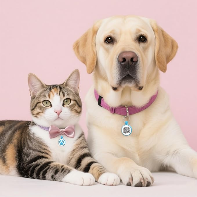 QR Code Cat Tag, Modifiable Pet Online Profile Page, Multiple Emergency Contact, Silent Silicone, Lightweight, No Jinging, Collar Accessories, QR Cat ID Tag (Small Breeds - 1", Blue)