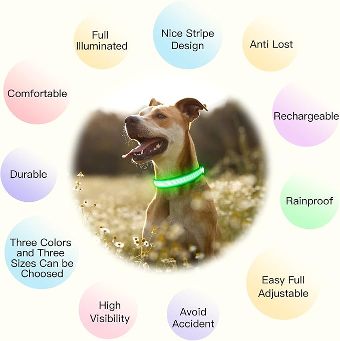 YFbrite Light up Dog Collar, USB Rechargeable LED Puppy Collar Super Bright Adjustable Glowing Dog Lights for Night Walking (Design 2-Green, Large)