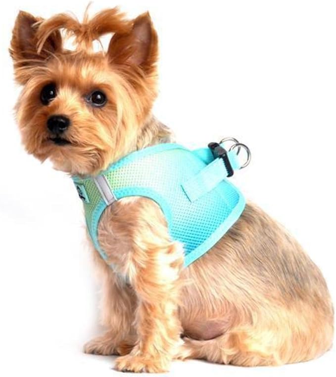 Doggie Design No Choke Dog Harness - Simple Step-in and Go Dog Vest for Small, Medium, and Large Breeds - Breathable Mesh Polyester Pet Harness - Aruba Blue - L