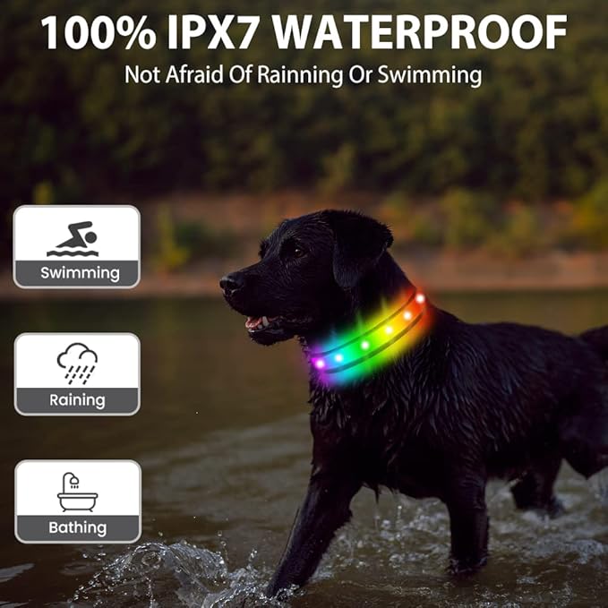 LED Dog Collar, Multicolor Light Up Dog Collar, USB Rechargeable & High-Visibility Glow in The Dark Dog Collars for Night Walks, IPX7 Waterproof, Large