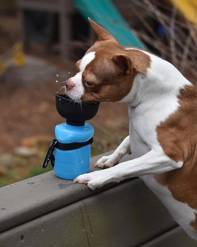 Lesotc Dog Water Bottle, Portable Water Dispenser with Bowl, Leak Proof Pet Travel Squeeze Bottle, Puppy Essentials Dog Stuff Accessories for Outdoor Walking, Hiking, Camping