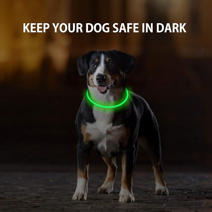 2-Pack LED Dog Collar, Light Up Dog Collars,Rechargeable Dog Lights for Night Walking,Universal, Reusable Safety Necklace for Small Medium Large Dogs Green&Blue