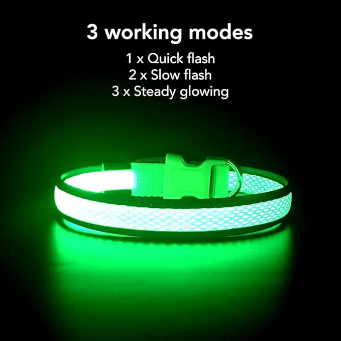 YFbrite Light up Dog Collar, USB Rechargeable LED Puppy Collar Super Bright Adjustable Glowing Dog Lights for Night Walking (Green, Medium)