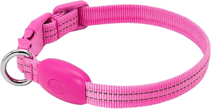 LED Dog Collar - Light Up, Adjustable, Rechargeable, Waterproof - Night Walking, Glow in Dark - Small, Pink