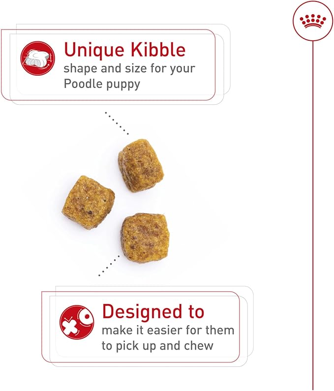 Royal Canin Breed Health Nutrition Poodle Puppy Dry Dog Food, 2.5 lb Bag