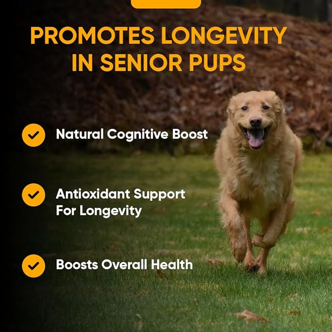 iHeartDogs Senior Super 7 Daily Dog Multivitamin - 7-in-1 Vitamin for Dogs Supports Anti-Aging with Antioxidants, Probiotics, Lion's Mane, Turkey Tail, & Ashwagandha for Longevity & Cognitive Boost