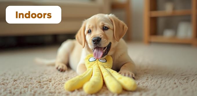 Squeaky Dog Toys – No-Stuffing Crinkle Plush, Durable Puppy Teething & Interactive Play, 2-Pack